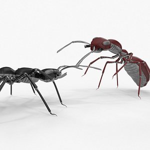 3D Robot ants