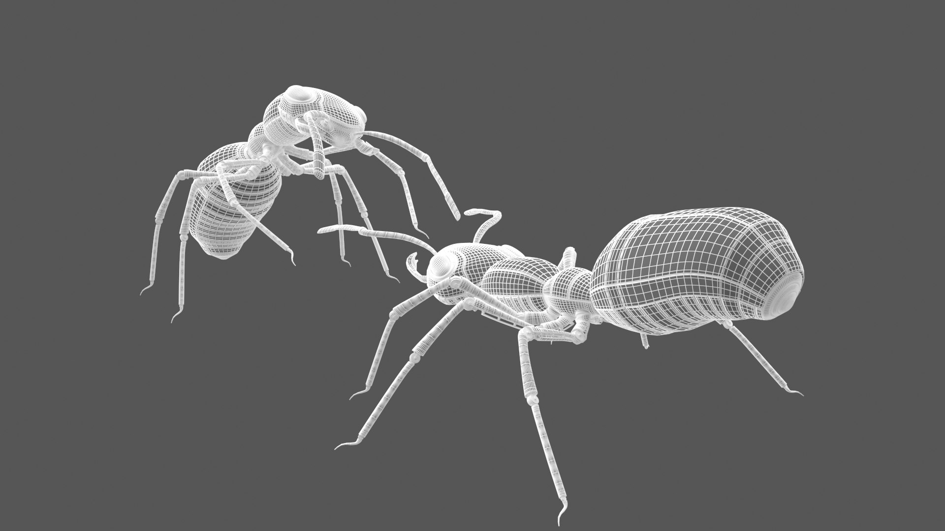3D Robot Ants - TurboSquid 2369294