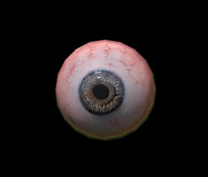 eyes
