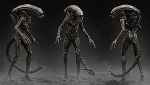 Xenomorph