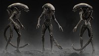 Xenomorph