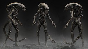 Xenomorph