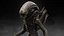 Xenomorph