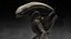 Xenomorph