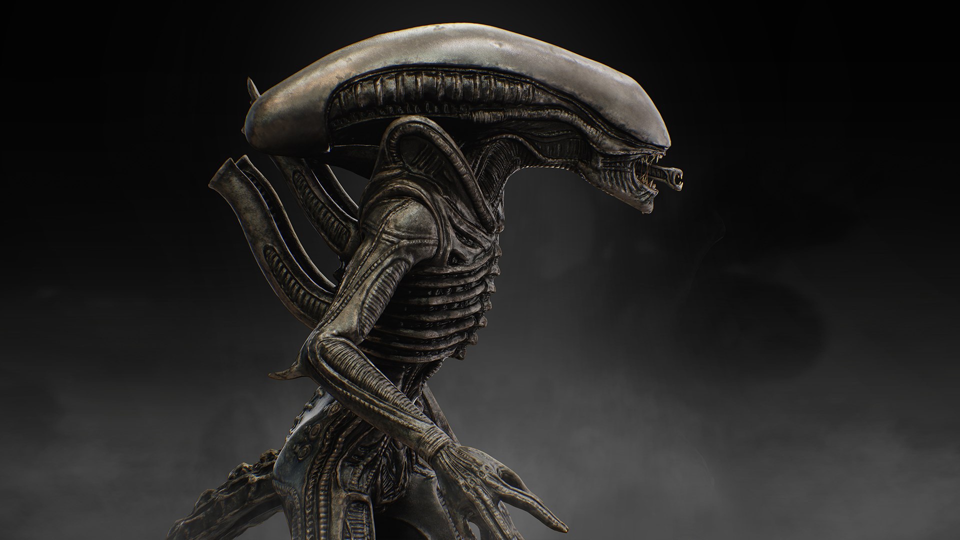 3D Xenomorph model https://p.turbosquid.com/ts-thumb/Ao/D7p8uS/lb/4/jpg/1742753699/1920x1080/fit_q87/320d711cff42c283d41a826905c383876e58a8fa/4.jpg