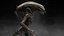 Xenomorph