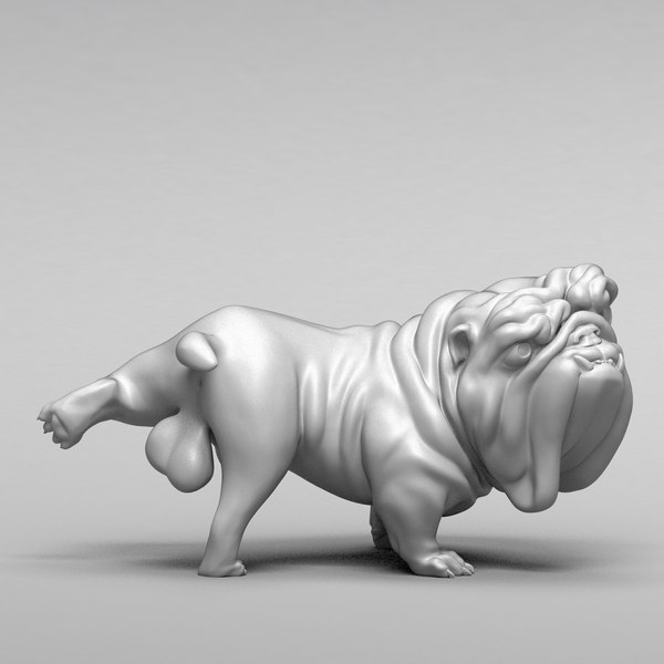 dog bulldog english model