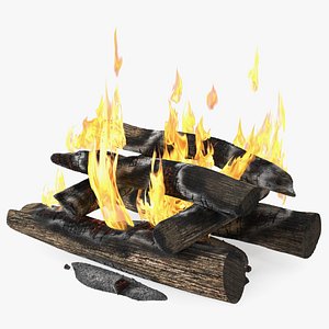 Wood Fire and Embers