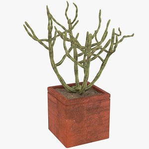 decorative potted model