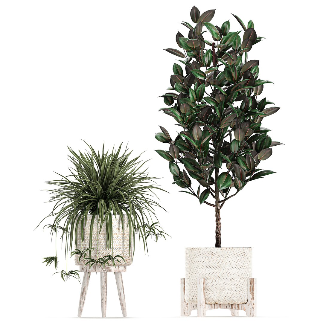 3D plants interior rattan houseplants https://p.turbosquid.com/ts-thumb/Ao/Zhf2Uj/DEeSxkn2/plants0912202006/jpg/1607603960/1920x1080/fit_q87/a05ee8b672637cc7662001df2e30385d97c172aa/plants0912202006.jpg