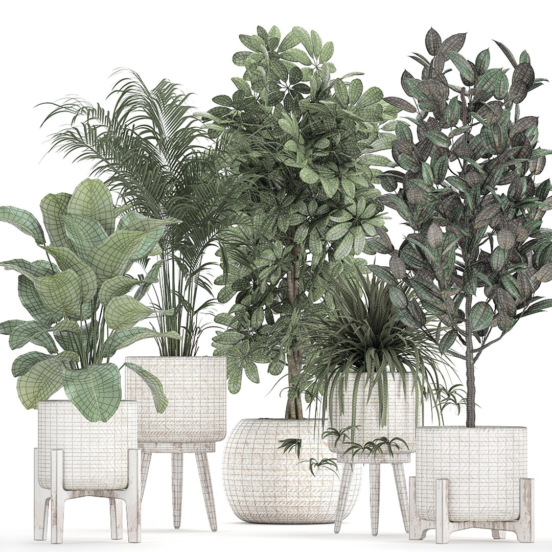 3D plants interior rattan houseplants https://p.turbosquid.com/ts-thumb/Ao/Zhf2Uj/UOGOMEpp/plants0912202008/jpg/1607603960/1920x1080/fit_q87/7b839b3307c48bff894e7130df54ff39db61b388/plants0912202008.jpg