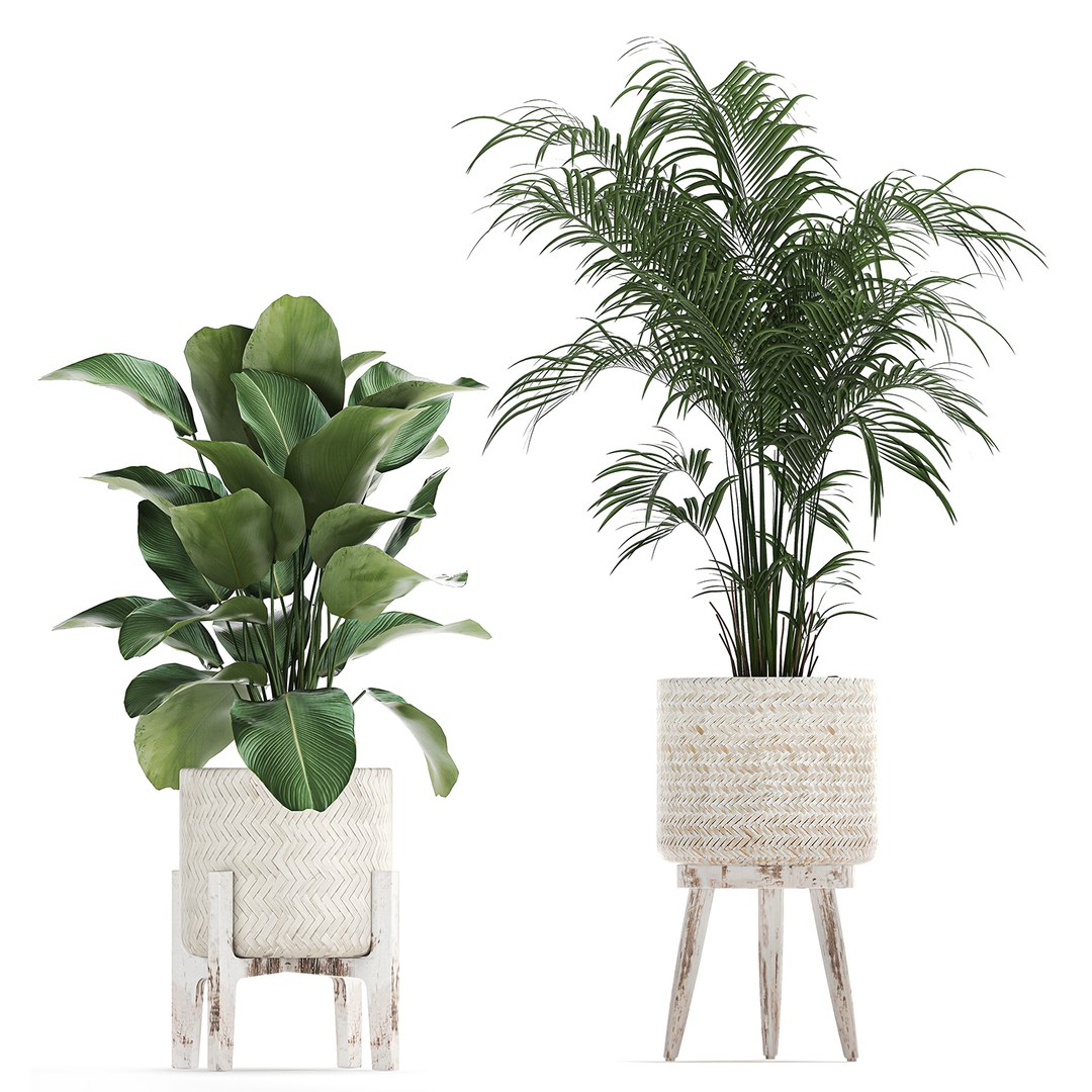 3D plants interior rattan houseplants https://p.turbosquid.com/ts-thumb/Ao/Zhf2Uj/cIpZUUGF/plants0912202003/jpg/1607603960/1920x1080/fit_q87/b97ca11f324dbe14c02d271de63e43ed96df8bd0/plants0912202003.jpg
