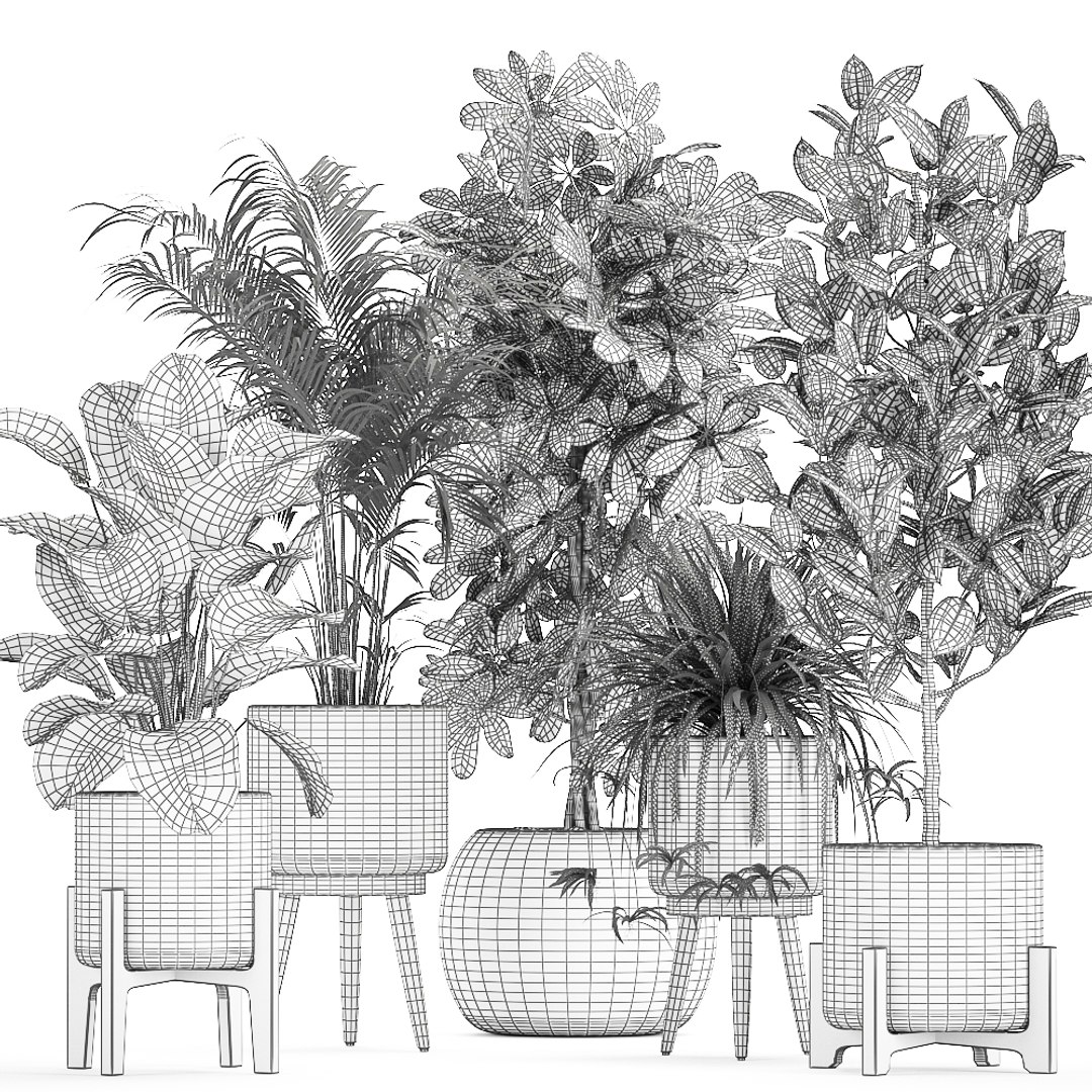 3D plants interior rattan houseplants https://p.turbosquid.com/ts-thumb/Ao/Zhf2Uj/eYvw9Rt7/plants0912202009/jpg/1607603960/1920x1080/fit_q87/2d51e3d000c8f854f8d1ce7a4050a7ac0d0a84d7/plants0912202009.jpg