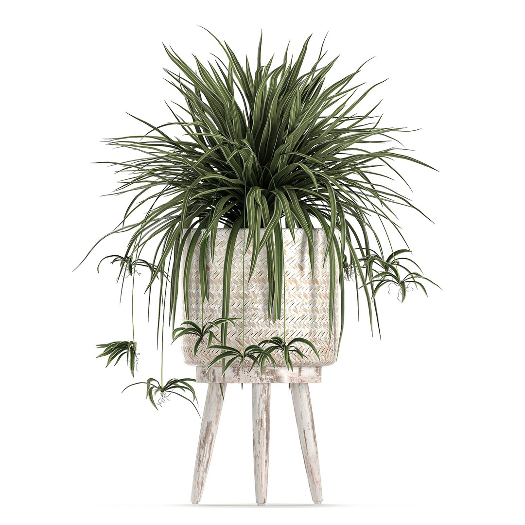3D plants interior rattan houseplants https://p.turbosquid.com/ts-thumb/Ao/Zhf2Uj/htoEeTTN/plants0912202015/jpg/1607603960/1920x1080/fit_q87/98b808cc597af7aa383d85703642144768cf61de/plants0912202015.jpg