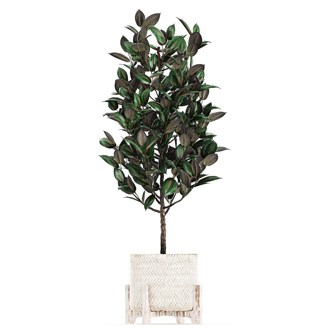 3D plants interior rattan houseplants https://p.turbosquid.com/ts-thumb/Ao/Zhf2Uj/vj6F0xdr/plants0912202016/jpg/1607603960/1920x1080/fit_q87/1afc4c22c074095a6aaaeb163699346e88a1e099/plants0912202016.jpg