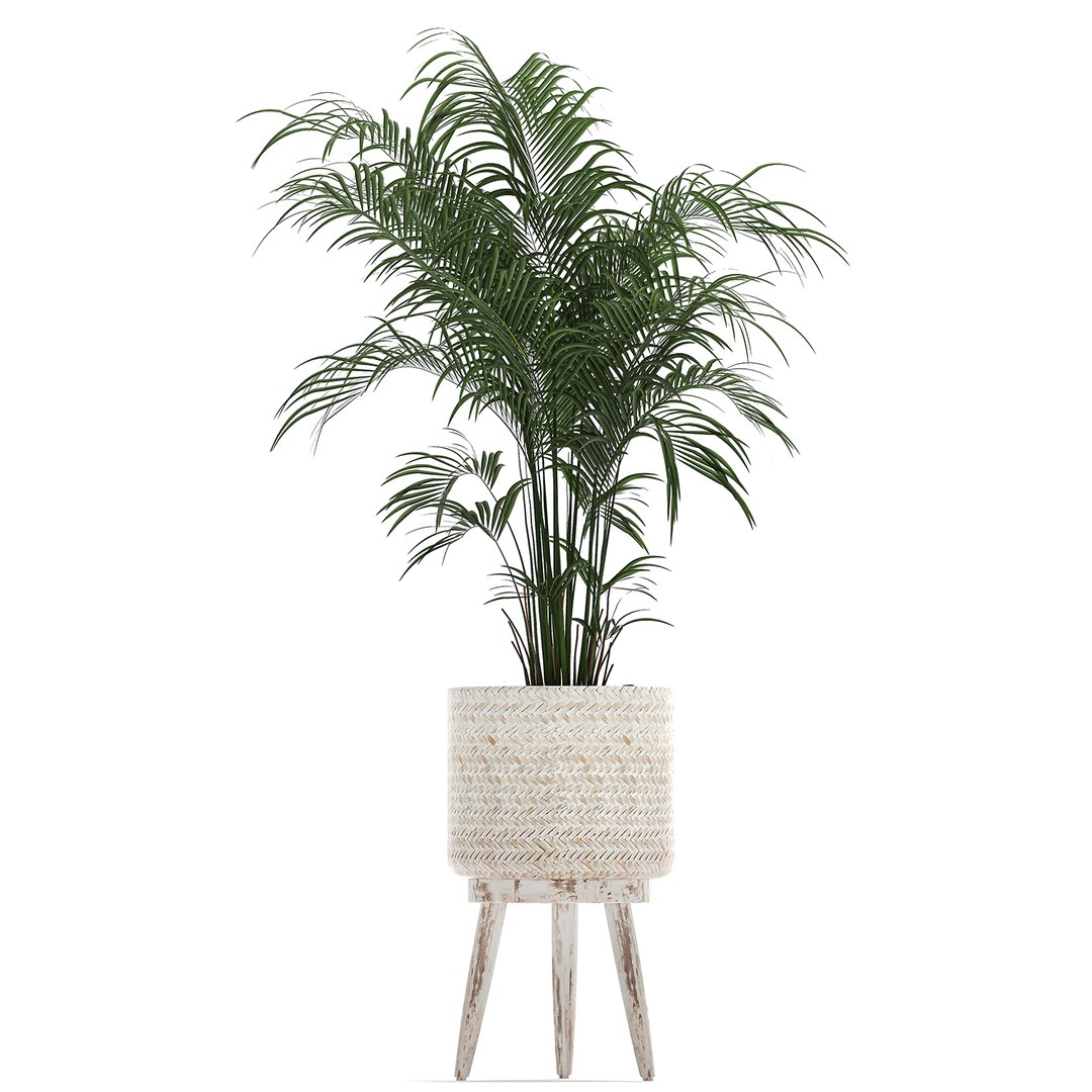 3D plants interior rattan houseplants https://p.turbosquid.com/ts-thumb/Ao/Zhf2Uj/yHCmFgpA/plants0912202012/jpg/1607603960/1920x1080/fit_q87/3a0c4e6386156ec9463d3b60b689679240e75095/plants0912202012.jpg