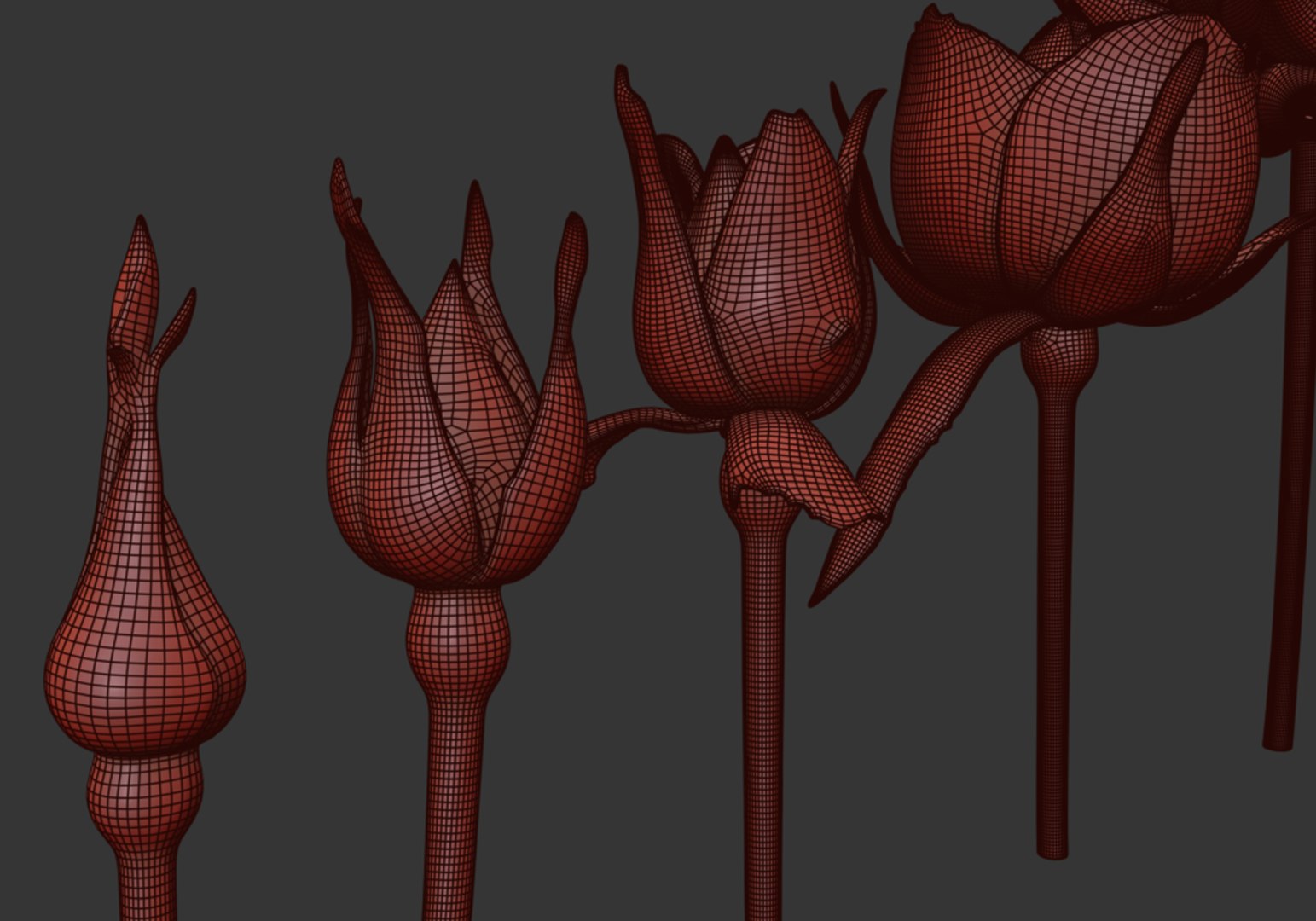 rose printable model https://p.turbosquid.com/ts-thumb/Ao/ZirqCf/0h/04/jpg/1785063477/1920x1080/fit_q87/a057c310568381ed3b3e64d80dbbde3104751f81/04.jpg