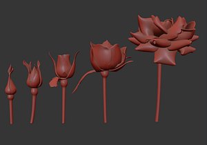 rose printable model