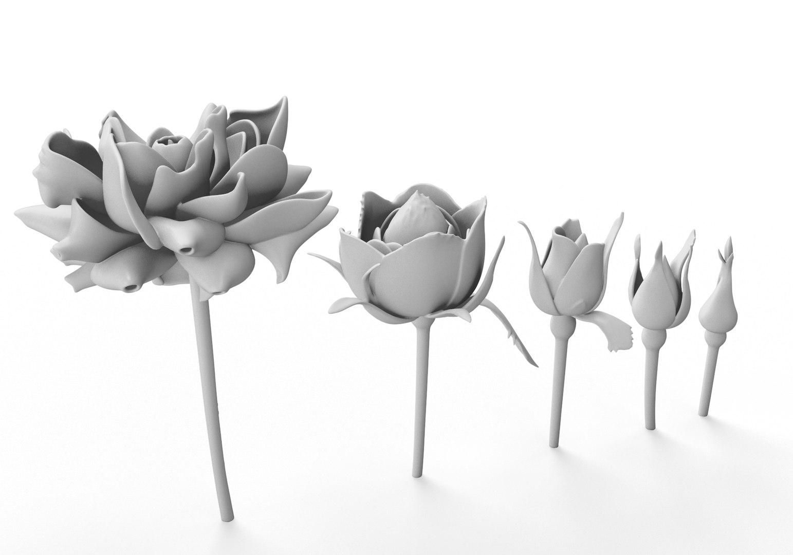rose printable model https://p.turbosquid.com/ts-thumb/Ao/ZirqCf/rK/02/jpg/1785063476/1920x1080/fit_q87/fad9649625f243f264a776f1600f1645b2ec838d/02.jpg