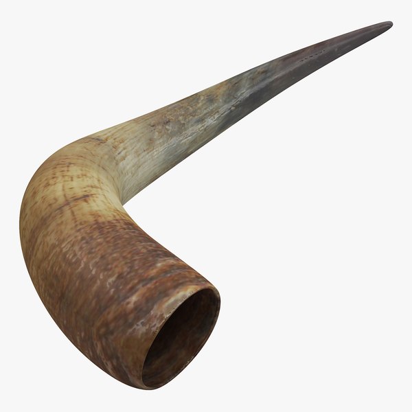 Chifre de touros Modelo 3D TurboSquid 1217428
