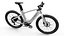 Mercedes AMG Urban E-Bike Niedrigrahmen