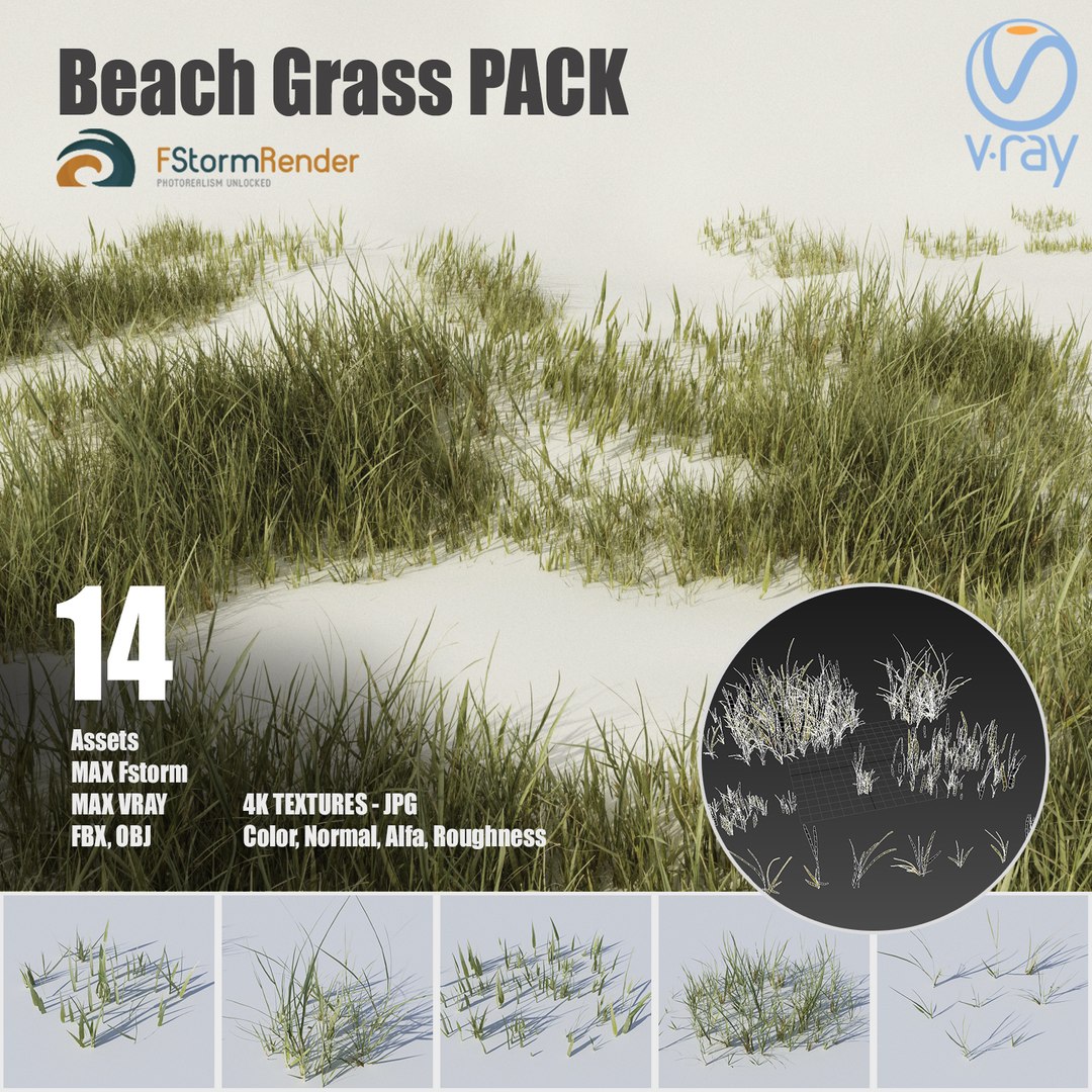 3D beach grass pack plants https://p.turbosquid.com/ts-thumb/Ap/39qNLd/q7ZSx5tm/beach_grass_pack/jpg/1525295720/1920x1080/fit_q87/4d8819ce2c2b80e5de6226db038cdfb3eee571be/beach_grass_pack.jpg