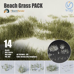 3D beach grass pack plants