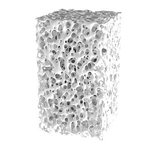 Bone Structure PBR