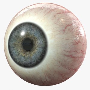 3d eye human iris model