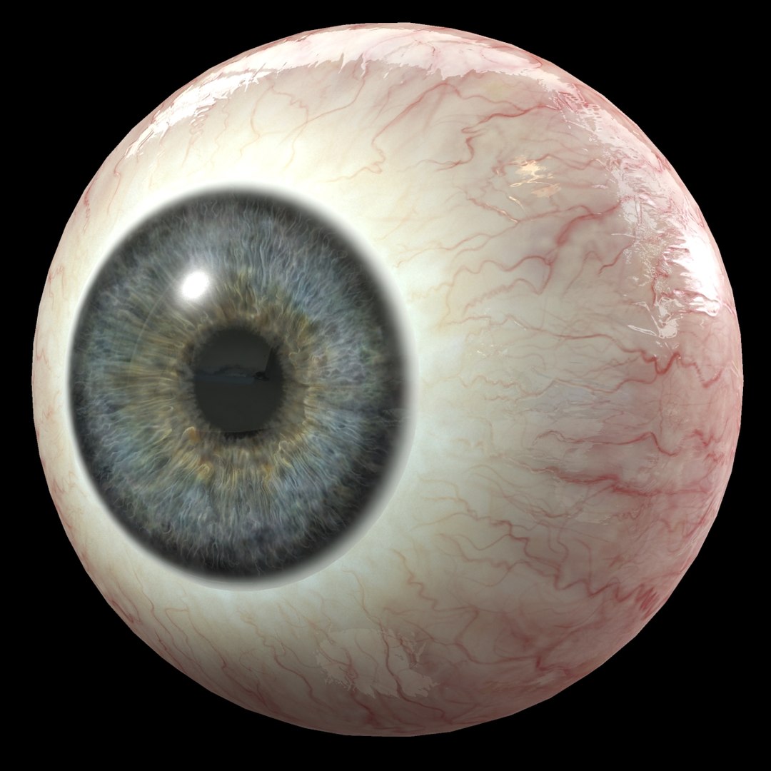 眼睛3d模型