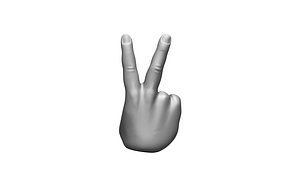 hand fingers 3D model