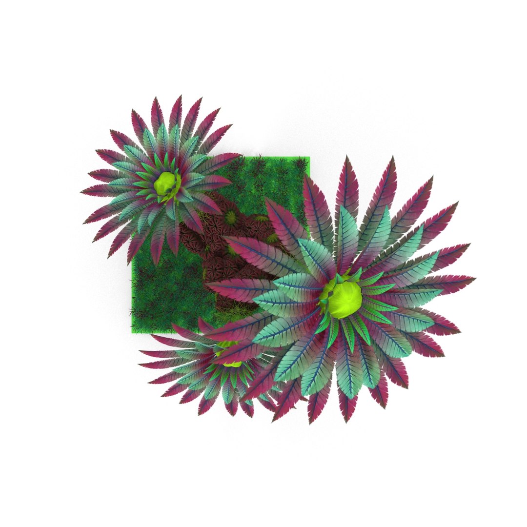 fantastic plant 3d max https://p.turbosquid.com/ts-thumb/Ap/c9RbJ4/8pS88qrg/render_9/jpg/1446731452/1920x1080/fit_q87/8e4753a2ad197e88a0d7872fa7bcf3e28e483f9a/render_9.jpg