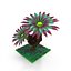 Planta fantastica