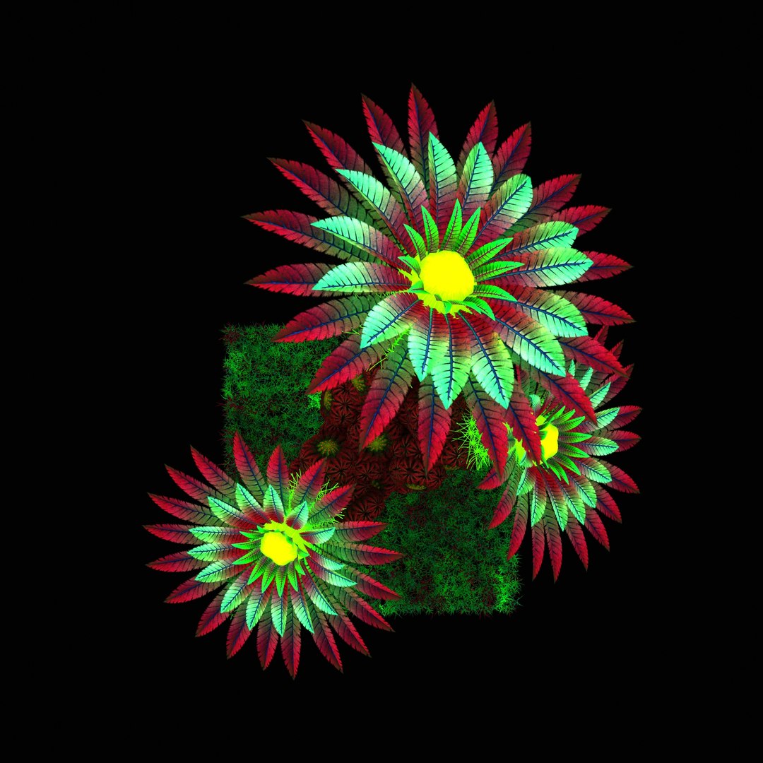 fantastic plant 3d max https://p.turbosquid.com/ts-thumb/Ap/c9RbJ4/kwPKeTsD/render_2/jpg/1446731452/1920x1080/fit_q87/e289c2aa17e6f7c3003a93a740a0da2f048122f0/render_2.jpg