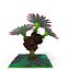 Planta fantastica