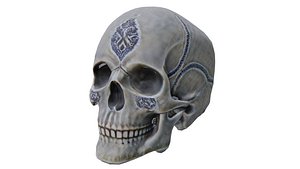 3D model Human skull