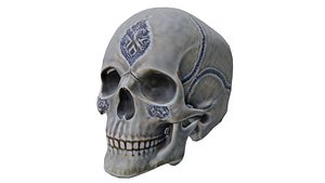Human skull