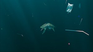 3D ANIMATION OF A TURTLE SWIMMING A LOT OF GARBAGE IN THE SEA Low-poly 3D model model