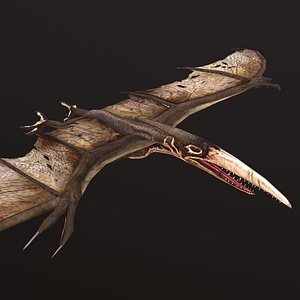 Pteranodon