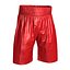 boxing gear 2 3d 3ds
