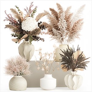 3D Collection dried flowers bouquets hydrangea pampas set new model