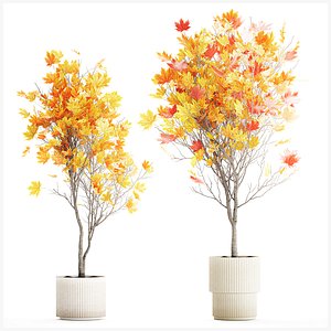 Trees autumn leaves white flowerpot maple sycamore vase decor model