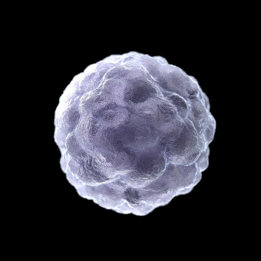 75 microbes micro bacteria cells model https://p.turbosquid.com/ts-thumb/Aq/O6rrIx/530Hhh9A/poliopoliovirus_02/jpg/1601715026/1920x1080/fit_q87/4dbcd6c248c75a68b9f160a6713ac44ce2093527/poliopoliovirus_02.jpg