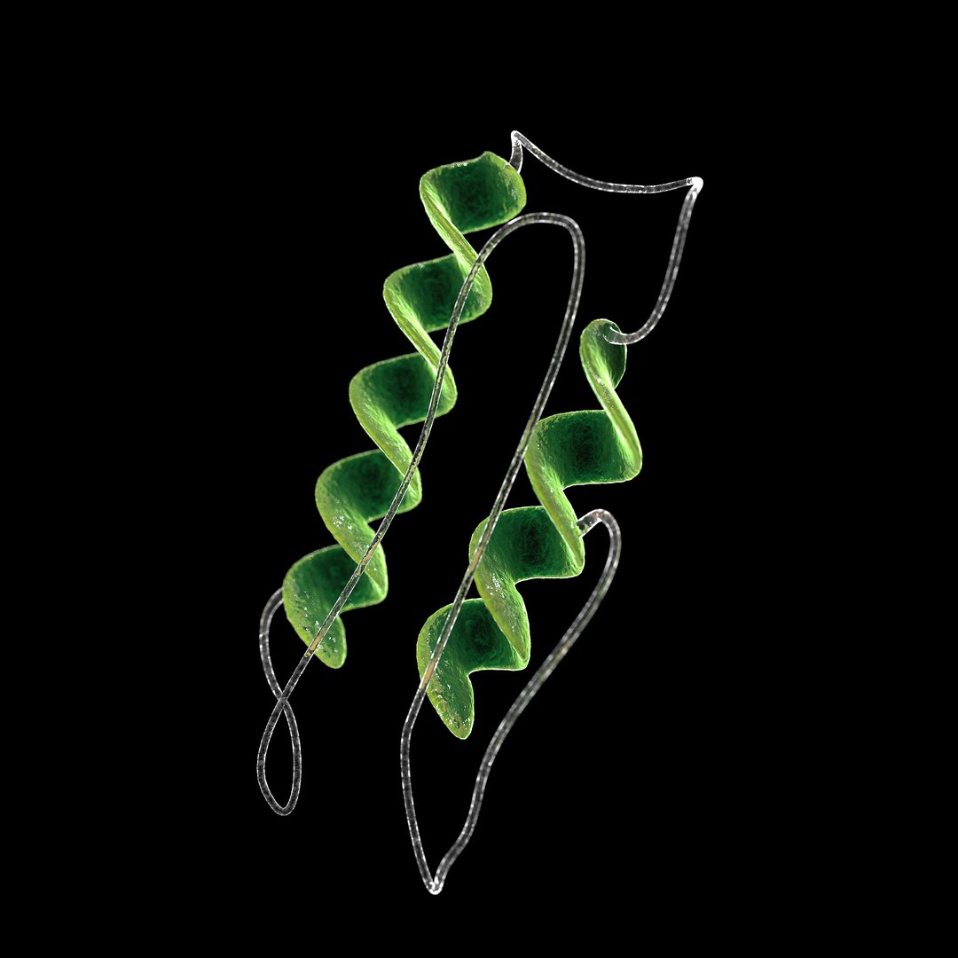 75 microbes micro bacteria cells model https://p.turbosquid.com/ts-thumb/Aq/O6rrIx/5Tf6hHCR/madcowbovinespongiformencephalopathy_02/jpg/1601715019/1920x1080/fit_q87/79ed30f4a5f023dea77a4343a0b0fa3b18ef45d1/madcowbovinespongiformencephalopathy_02.jpg