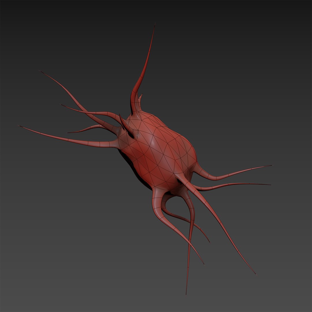 75 microbes micro bacteria cells model https://p.turbosquid.com/ts-thumb/Aq/O6rrIx/Hbszka3L/bonecellosteocyte_04/jpg/1601715299/1920x1080/fit_q87/e33d928bde93c370e19dbfbfea2c57ec5f159925/bonecellosteocyte_04.jpg