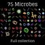 75 microbes micro bacteria cells model