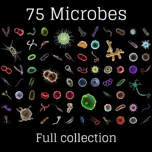 Microbes - Collection of 75 microorganisms