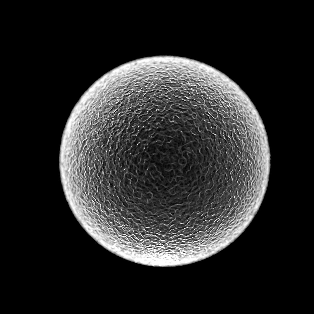75 microbes micro bacteria cells model https://p.turbosquid.com/ts-thumb/Aq/O6rrIx/O06pBpem/eggcellovum_02/jpg/1601714902/1920x1080/fit_q87/1e6eedf300e955324dc24ceb0963aafa43e5525d/eggcellovum_02.jpg
