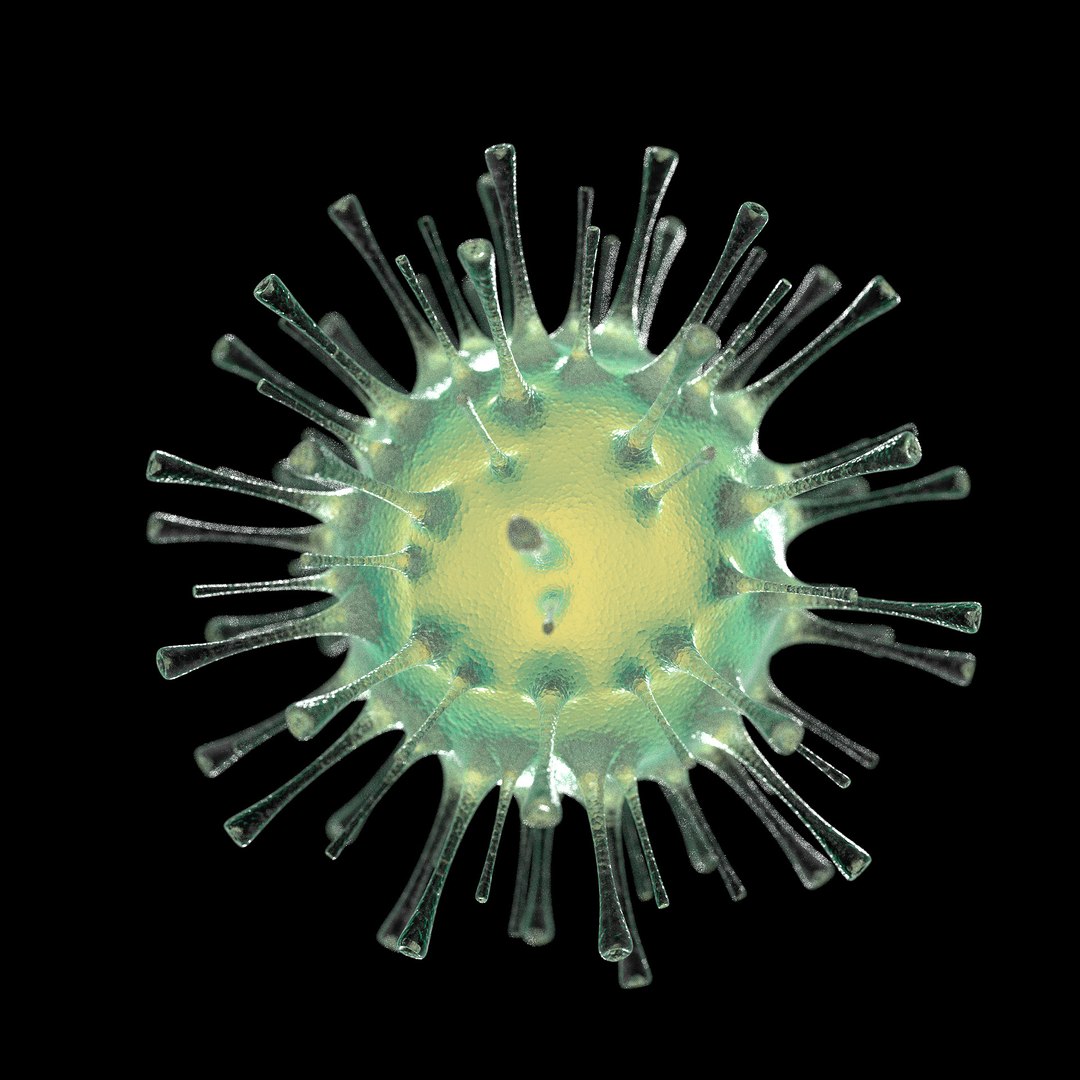 75 microbes micro bacteria cells model https://p.turbosquid.com/ts-thumb/Aq/O6rrIx/PhUWJK2V/fluorthomyxovirus_02/jpg/1601714907/1920x1080/fit_q87/a6e8f9a7ba64fda32f9a0f10d65ea8d6a926ab13/fluorthomyxovirus_02.jpg