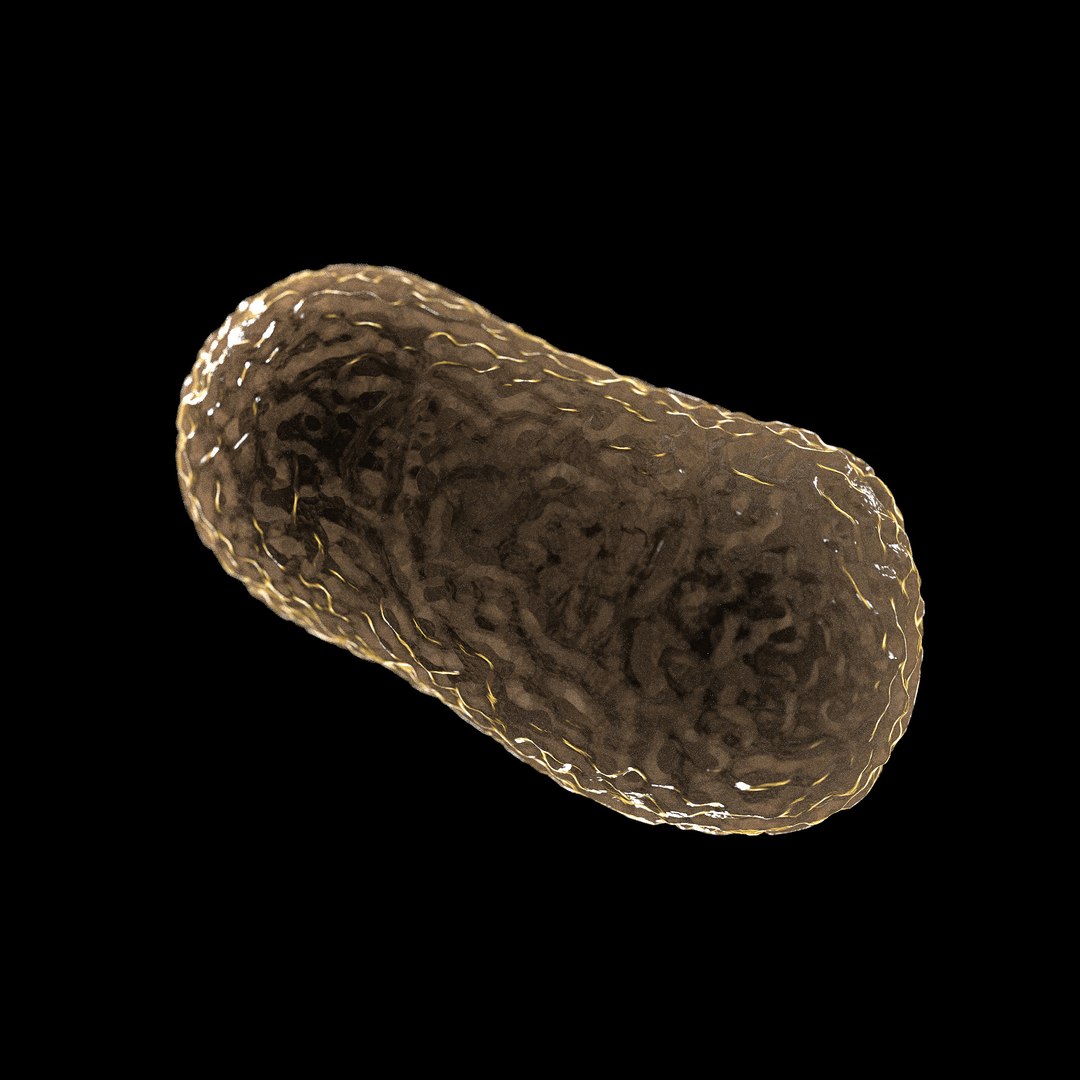 75 microbes micro bacteria cells model https://p.turbosquid.com/ts-thumb/Aq/O6rrIx/taRc1xXS/badbreathporphyromonasgingivalis_02/jpg/1601714880/1920x1080/fit_q87/1f360e758129cf48994ec0ae9e6702461718ee0d/badbreathporphyromonasgingivalis_02.jpg
